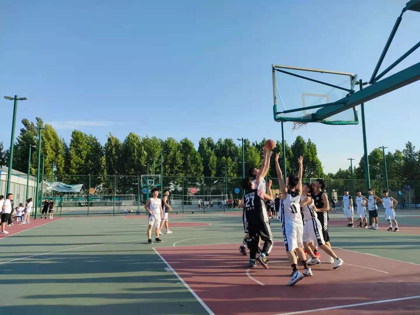《篮球：三步上篮》——沈建铭-温州市娄桥外国语学校